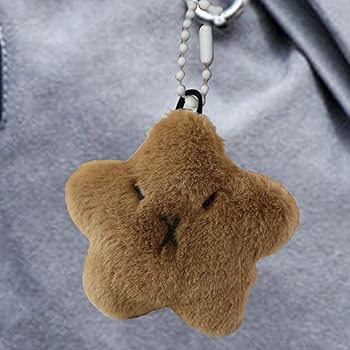 Amazon.co.jp: 星のぬいぐるみキーホルダー、かわいいカピバラの星